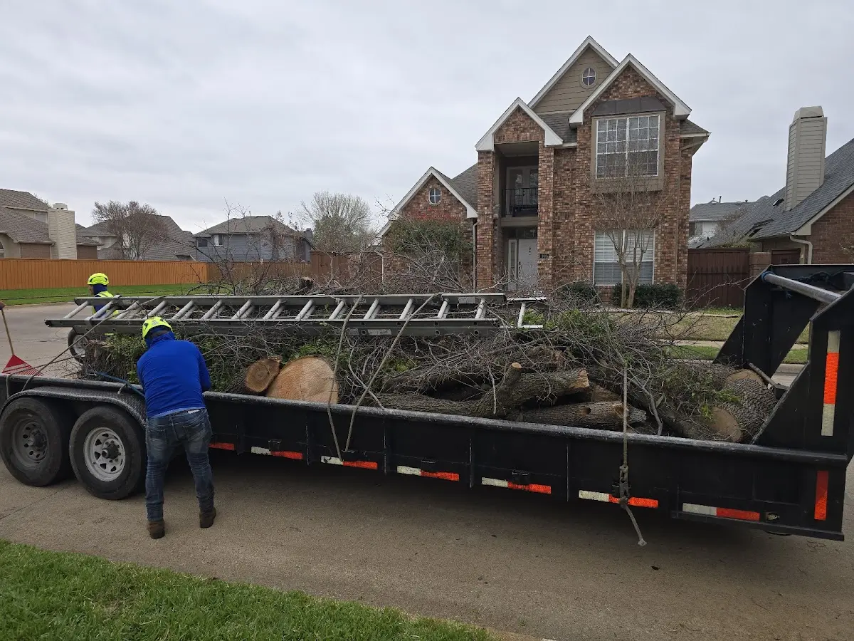 Expert Lot Clearing with proper safety equipment in Vergas